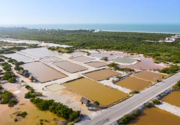 Water Harvesting System